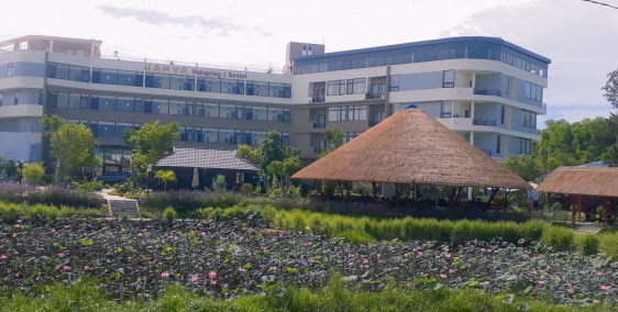 Đất nền thành phố Quảng Ngãi - giá chỉ 300tr/nền - đã có sổ đỏ