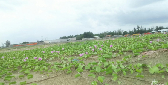 Khu đô thị Siêu Phẩm Bà Rịa Vũng Tàu. 3 mặt giáp sông, pháp lý chuẩn chỉ.