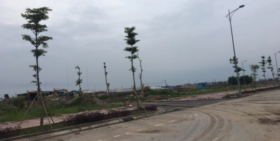 Đất vàng tiềm năng Phố Nối- Hưng Yên