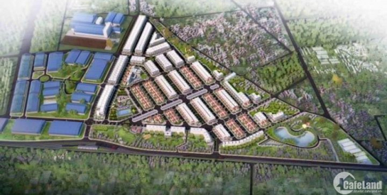 ĐÓN CƠ HỘI ĐẦU TƯ SINH LỜI SÁNG GIÁ NHẤT 2019