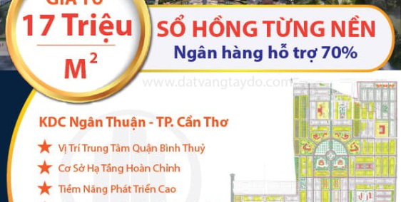 Dự án Stella Mega City (Ngân Thuận cũ). Cơ hội đầu tư cho nhà đầu tư cá nhân