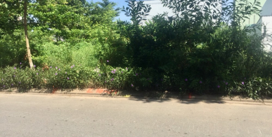 BÁN NỀN HOT ĐƯỜNG ĐẶNG VĂN DÀY- STELLA MEGA CITY (NGÂN THUẬN)