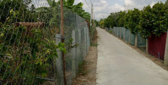 Chính chủ bán đất Ấp Hòa Trí, Xã Long Khánh, TX Cai Lậy, Tiền Giang