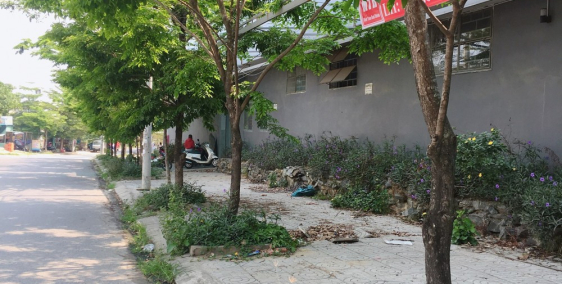 Hot Hot, 3 lô Đất Liền kề trễn dãy phố Lê Đình Kỵ giá chỉ 3xxx tỷ