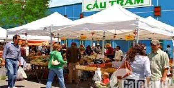 do thiếu nợ cần  tiền bán gấp gấp