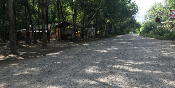 Đất Dầu Tiếng Bình Dương 1000m2, đường 8m, SHR