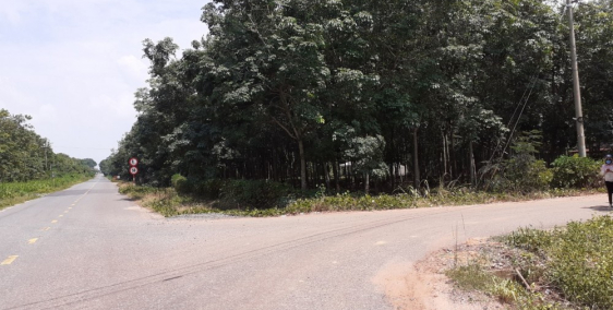 Minh Hòa Dầu Tiếng Bình Dương đầu tư sinh lời.