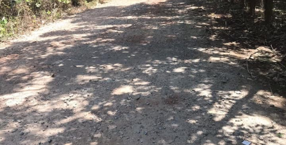 Đất Bình Dương giá rẻ, View đẹp,ngoại ô thành phố thích hợp nghỉ dưỡng.