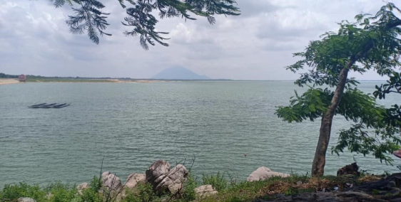 Đất Bình Dương giá rẻ, đường 8m, điện 3 pha, giá 398 đến 450 triệu/ 1000m2