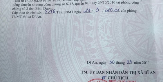 Chính chủ cần bán lô đất KDC Bình An, phường Bình Thắng, TX Dĩ An