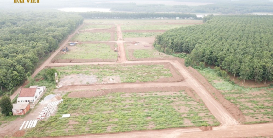 Mở bán dự án Tân Lập Garden giai đoạn 1, giá đầu tư 440tr/nền. Lh 0938.269.136