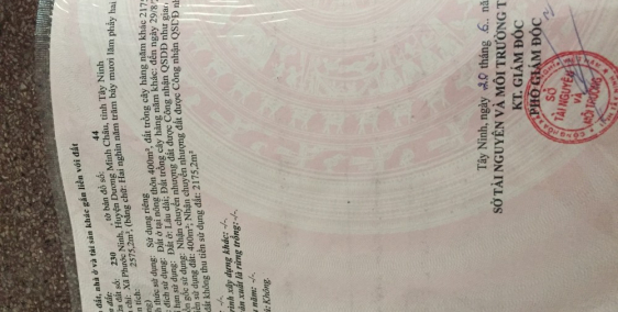 Bán đất thổ cư giá rẽ ngang 48x57 có 400m thổ cư