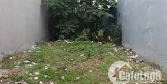 Sự Xuất Hiện Của VinCity Ocean Park Làm Giá Đất Gia Lâm Tăng Không Ngừng