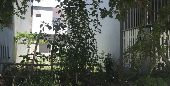 CẦN BÁN LÔ ĐẤT BẦU VÁ 1 GIÁ ĐẦU TƯ CHÍNH CHỦ - ĐẤT ĐẸP GIÁ TỐT