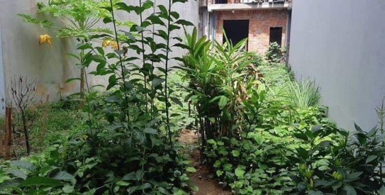 CẦN BÁN LÔ ĐẤT KQH BÀU VÁ 1 - LH: 0377170822