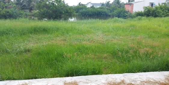 Ngân hàng thanh lý 8lô đất Xã Tân Nhựt, Huyện Bình Chanh. LH 0786730297