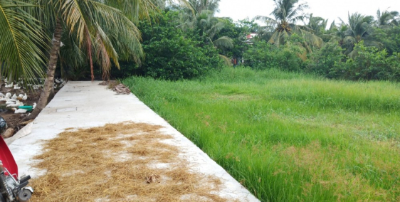 Thiếu Nợ nên bán lô đất 105m2 Xã Tân Nhựt, Huyện Bình Chánh.