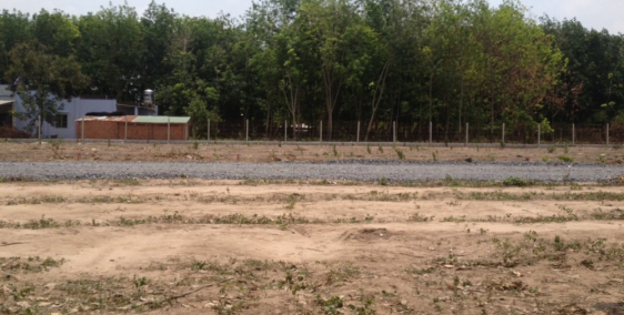 Cần Tiền Xoay Vốn Kinh Doanh Bán Nhanh lô đất 95m2 Thổ Cư, SHR, Huyện Bình Chánh