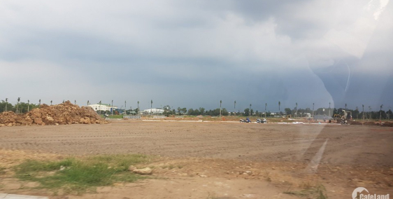 Bán đất mặt tiền đường Trần Đại Nghĩa, Bình Chánh, đất vuông vắn, đã có sổ.