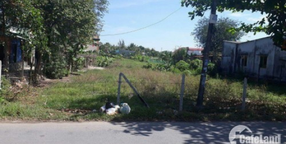 Cần tiền bán gấp miếng đất đường Suối Lội, xã Phước Vĩnh An, Củ Chi, 480 triệu