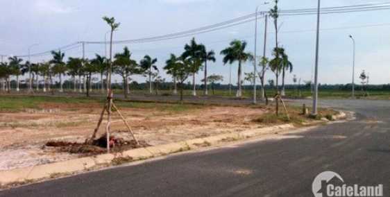 Đất khu dân cư Tân Thanh Đông giá rẻ.