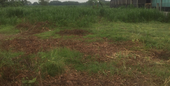 Đất đẹp mặt tiền nhựa 10m, xã An Phú, Củ Chi, HCM