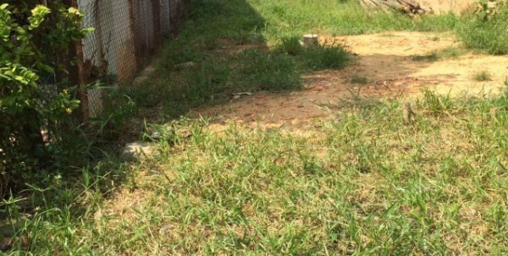 90m2 Đất thổ cư đường 6m lê lợi cần bán gấp 900tr, sổ riêng sang tên ngay, gpxd