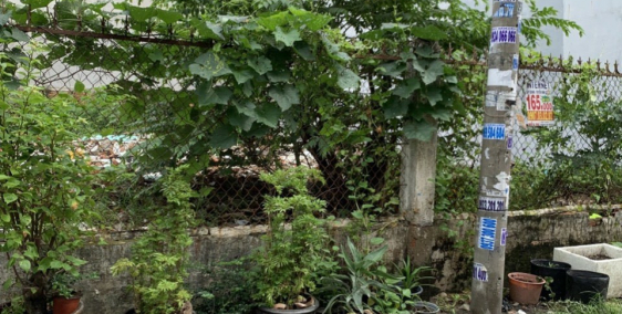 Cần bán gấp nhà tại đường Nguyễn Văn Bứa Huyện Hóc Môn