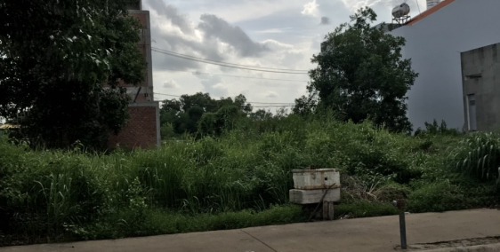 -Đất thổ cư Nhà Bè, 253m2 hẻm xe hơi, Ngay giáo điểm tin mừng 4,2 tỷ