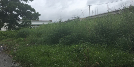 -Đất vườn nhà bè, 710m2 mặt tiền đường 8m -6,2tr/m2