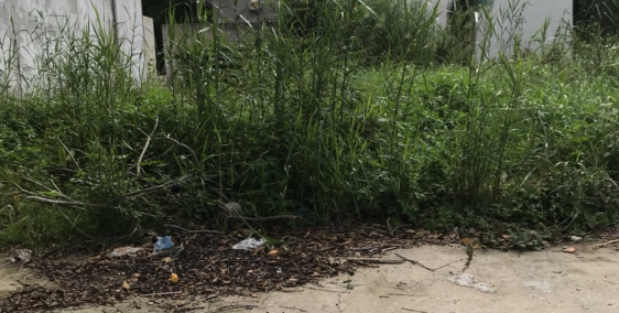 -Đất vườn Hiệp Phước, 710m2 mặt tiền đường 8m -6,2tr/m2