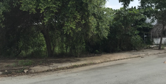 240m2(8x30) Đất vườn, MT- Nguyễn Văn Tạo, Ngay giáo xứ tin Mừng 4,35 tỷ