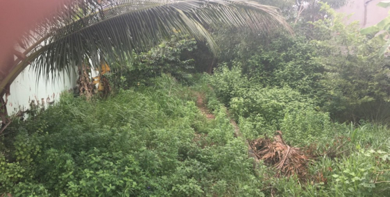 Đất TC hẻm xe hơi Nguyễn văn tạo, Lô góc (8x23), 20tr/m2