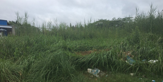 Đất thổ cư Hiệp Phước,(8x23), hẻm xe hơi, gần CA nhà bè 20tr/m2.