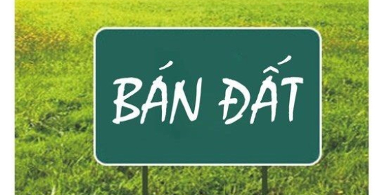 Bán nhà mặt đường Hoàng Minh Thảo