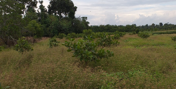 Cần bán 2 thửa đất tại tỉnh Đồng Nai, tiềm năng sinh lời cao, giá tốt.