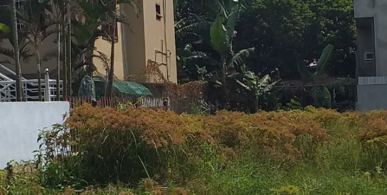 Bán đất 151.6m2, thôn Lại Thế, Xã Phú Thượng .