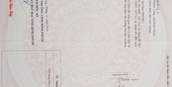 Bán đất xưởng mặt tiền đường Nguyễn Thái Học (Nhà tằm), Phường Long Phước, TX. P