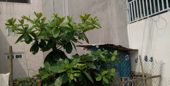 Bán lô đất sổ hồng riêng, đường Tây Hòa, Phước Long A, Q9 hẻm ôtô quay đầu