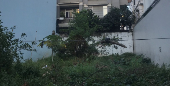 BỂ NỢ Bán Lô Đất 110m2 Mặt Tiền Dương Quàng Hàm Giá RẺ 2,15 tỷ.LH 0963674741