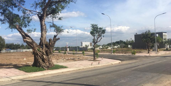 Sang lại 7 lô liền kề mặt tiền 48, Hiệp Bình Chánh Thủ Đức, xây dựng tự do