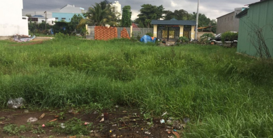 Bán gấp đất gần chợ đầu mối Thủ Đức có SHR, XDTD, giá rẻ