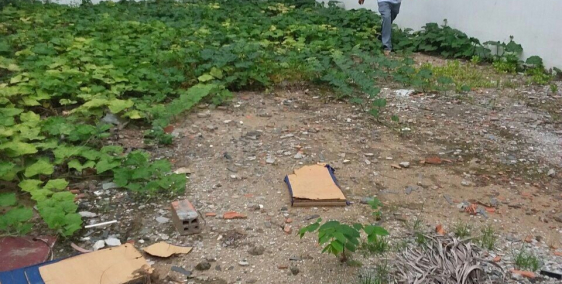 Bán gấp lô đất MT đường 48, Hiệp Bình Chánh, Thủ Đức, gần ngay Gigamall, bao sổ.