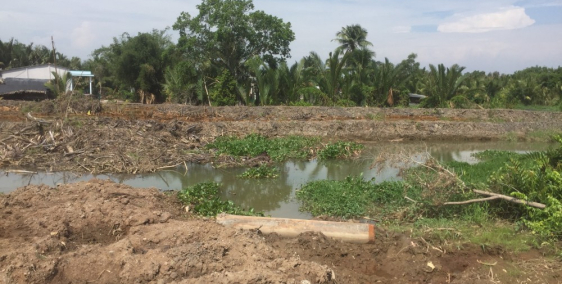 Đất nền Long An giá 6.5tr/m2 ngay KDC hiện hữu, KCN sầm uất, cụm cảng quốc tế