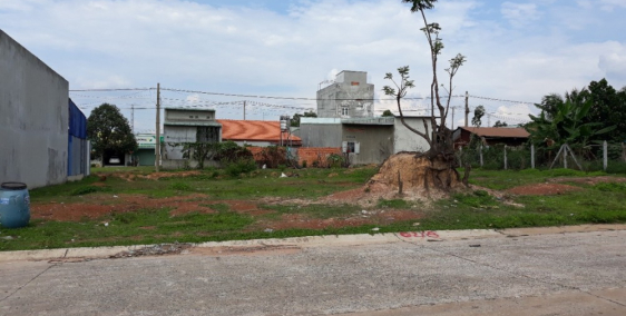 Con gái  hơn tháng nữa sang nước ngoài du học nên tôi có 300m2 đất muốn bán Bìn