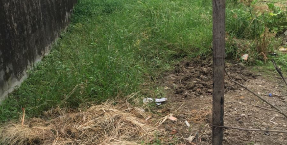 Bán gấp thửa đất ngõ 207 Bùi Xương Trạch chỉ 700 triệu, DT 43m2.