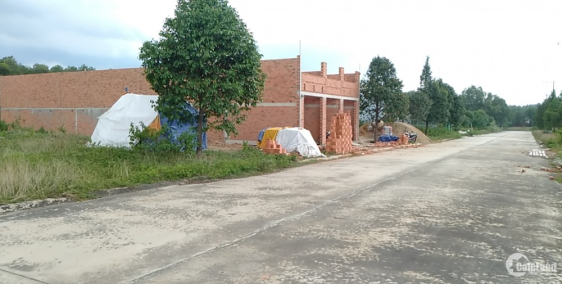 Có Lô Đất Đẹp Cần Bán Gấp  Cho Con Trai Tiền Cưới Vợ Bên Nhật