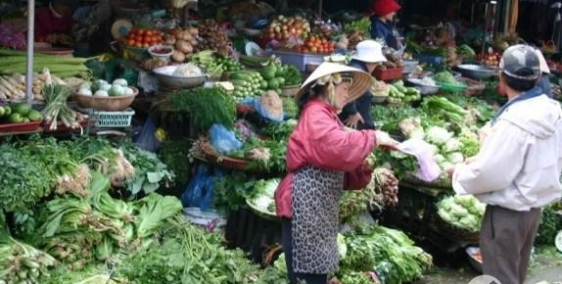 CÓ VÀI LÔ ĐẤT CẦN THANH LÝ NHANH TRONG THÁNG