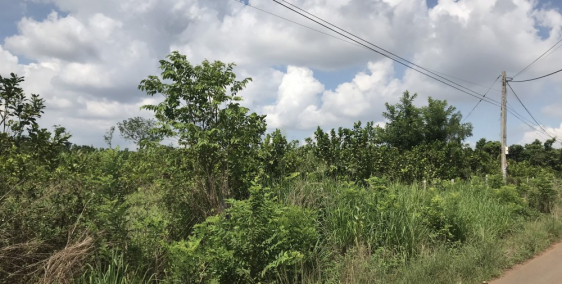 Đất 438m2 Sổ hồng riêng 450 triệu gần đường lớn