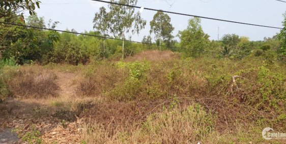 Bán đất MT ĐT 762 23x53m DTCN 1302.5m2 giá: 5.3 tỷ trung tâm TT Vĩnh An,Vĩnh Cửu